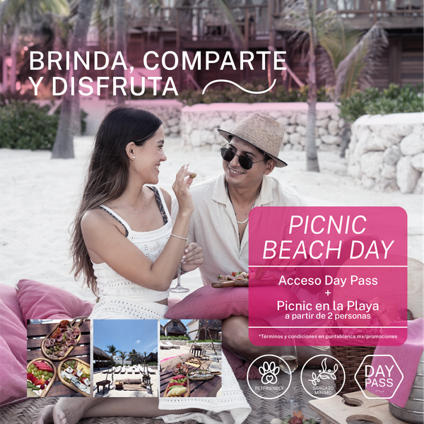 Picnic Beach Day