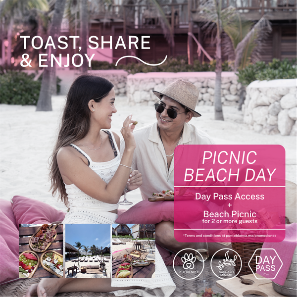 Picnic Beach Day
