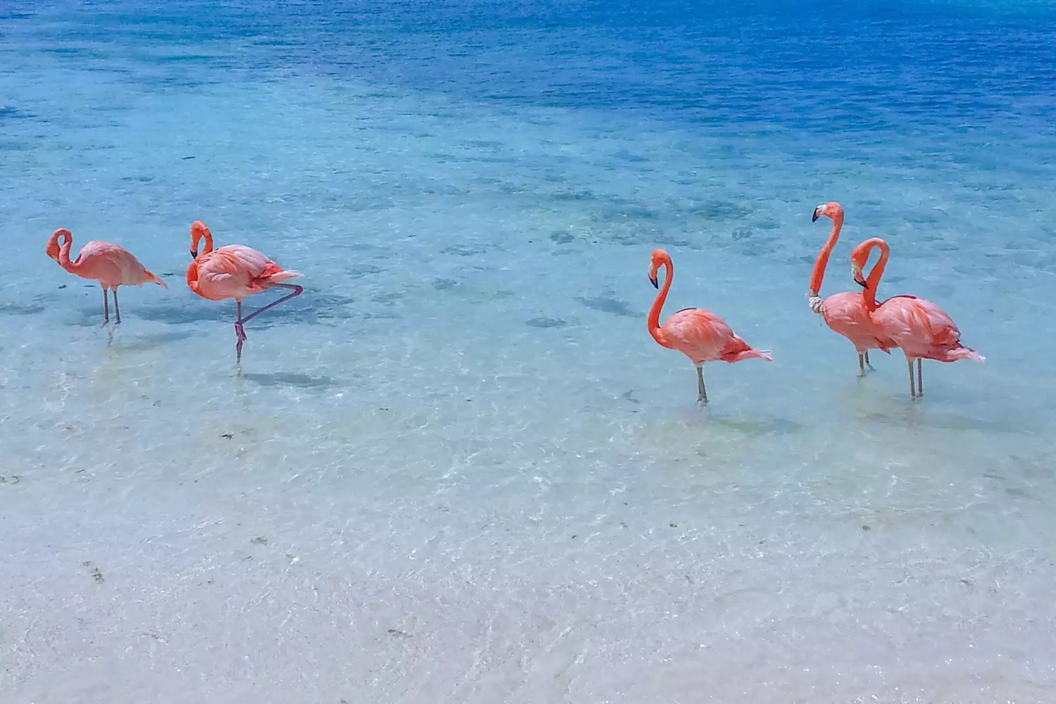 Isla Blanca Cancun