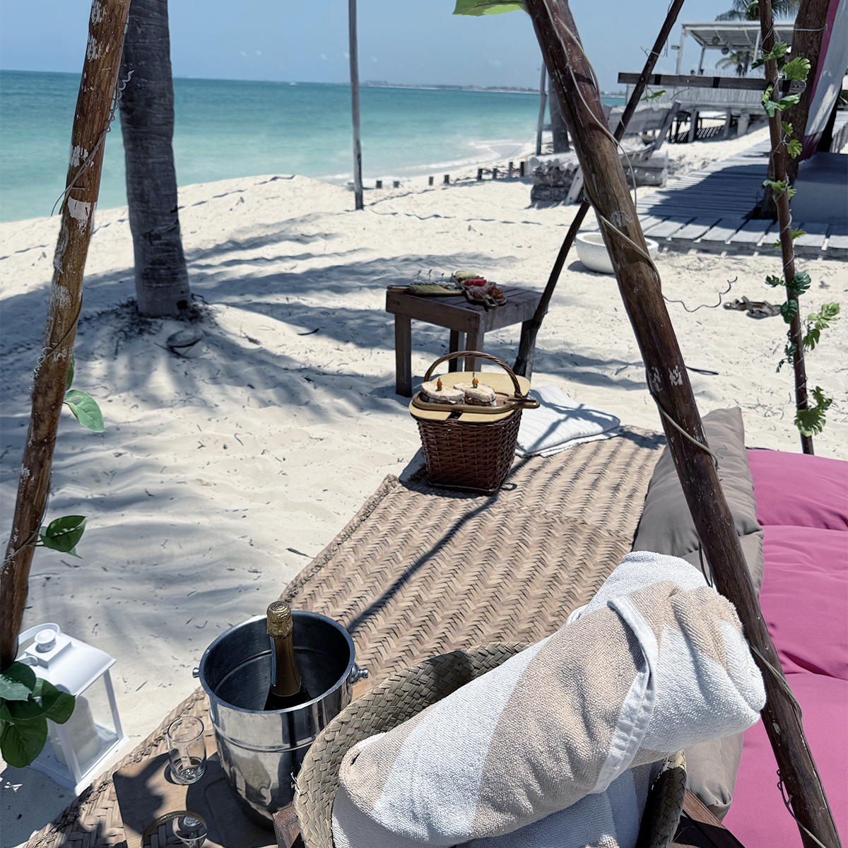 Picnic Beach Day