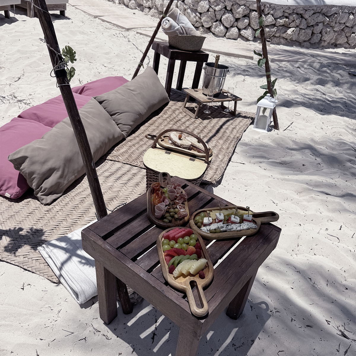 Picnic Beach Day - 2